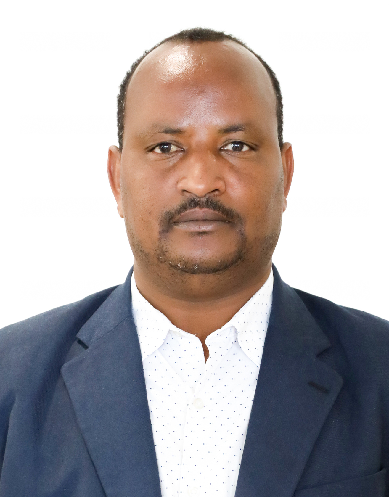 Hon. Ato Tadele Buraka Bushasha (Phd)