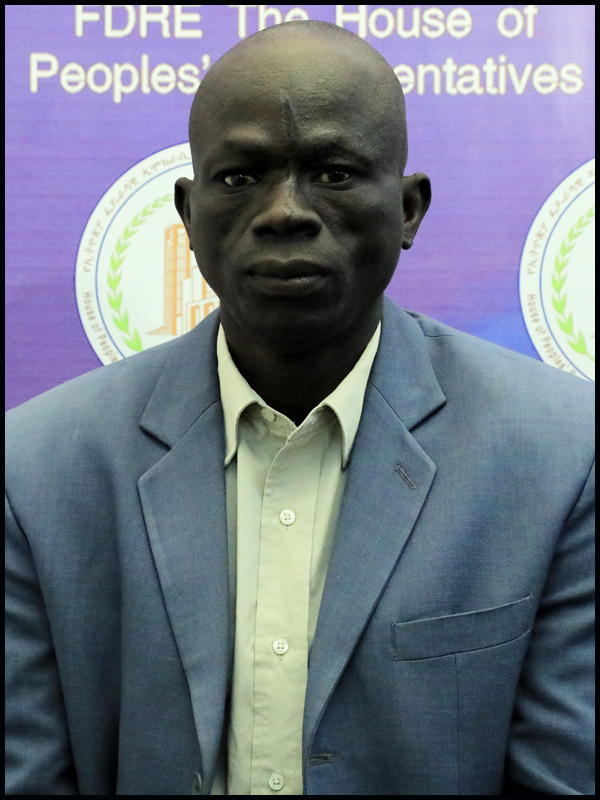 Hon. Ato Ojulu Gilo Djulu