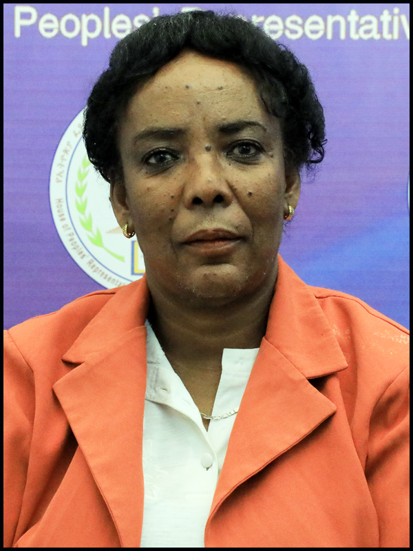 Hon.W/ro Alemtu Fufa Guta
