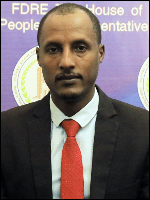 Hon. Ato MESFIN MESHESHA YEBO