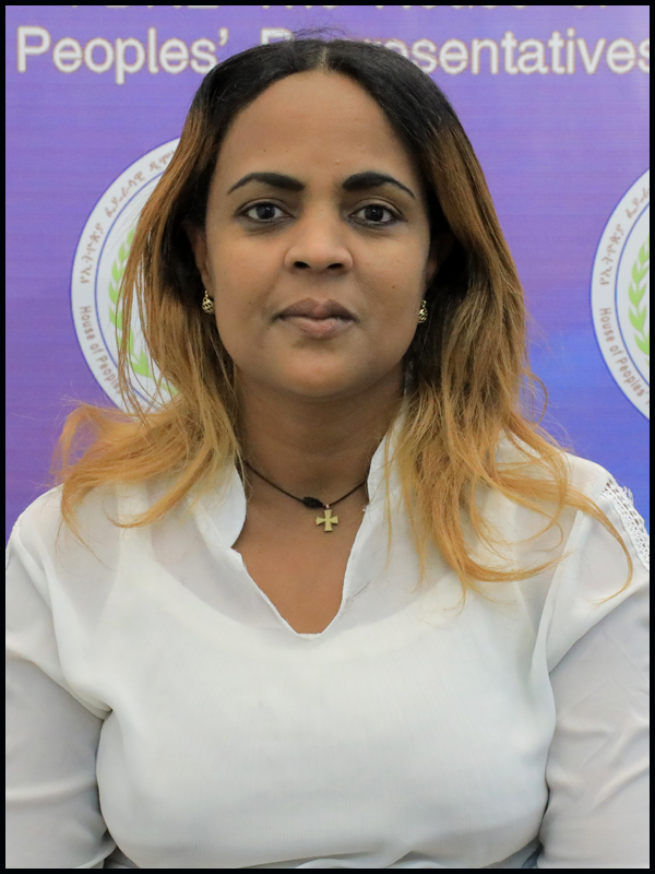የተ. ወ/ሮ አበበች ሺከታ