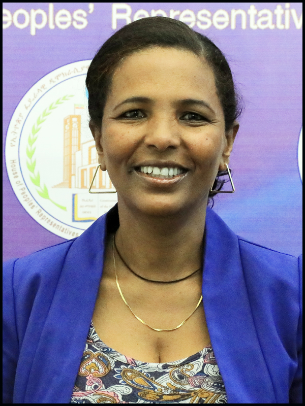 Hon. W/ro Wossen Dagnew Zelselew