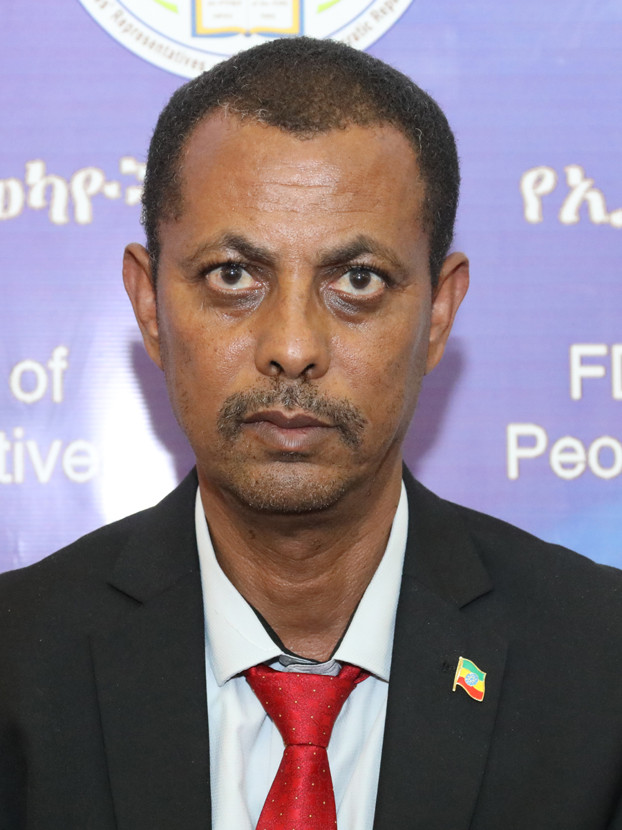 Hon. Ato Hailu Yayut Lemeneh