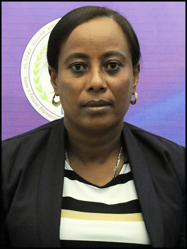 Hon.W/ro Bizunesh Gudeta  Benti