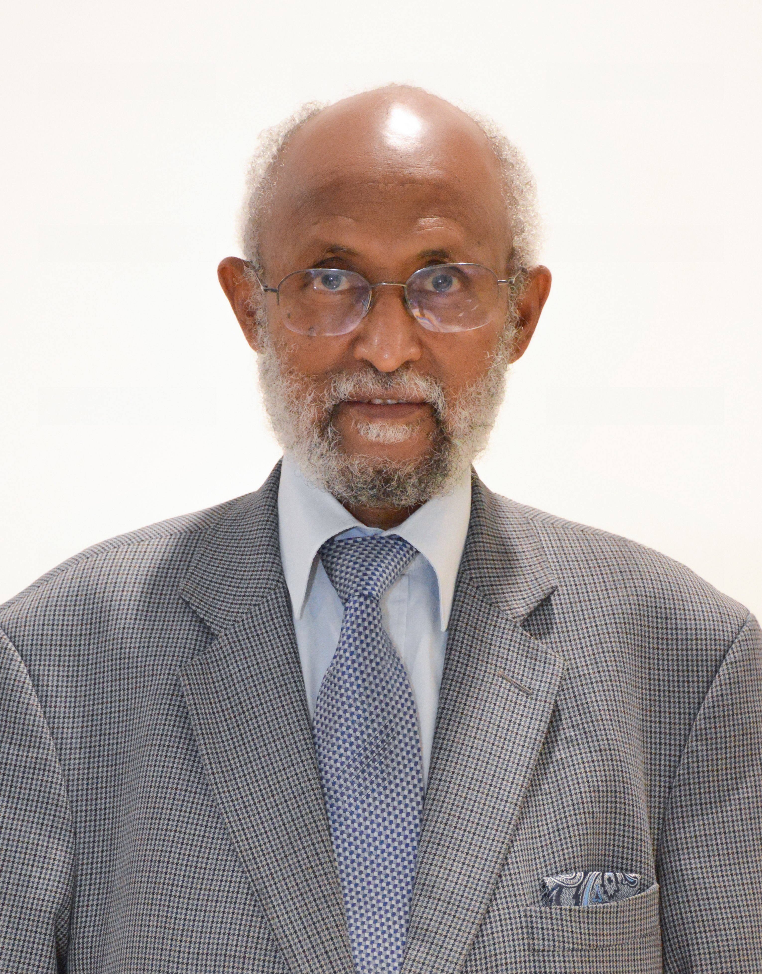 Hon. Prof. Dr. Engineer Mohammed Abdo