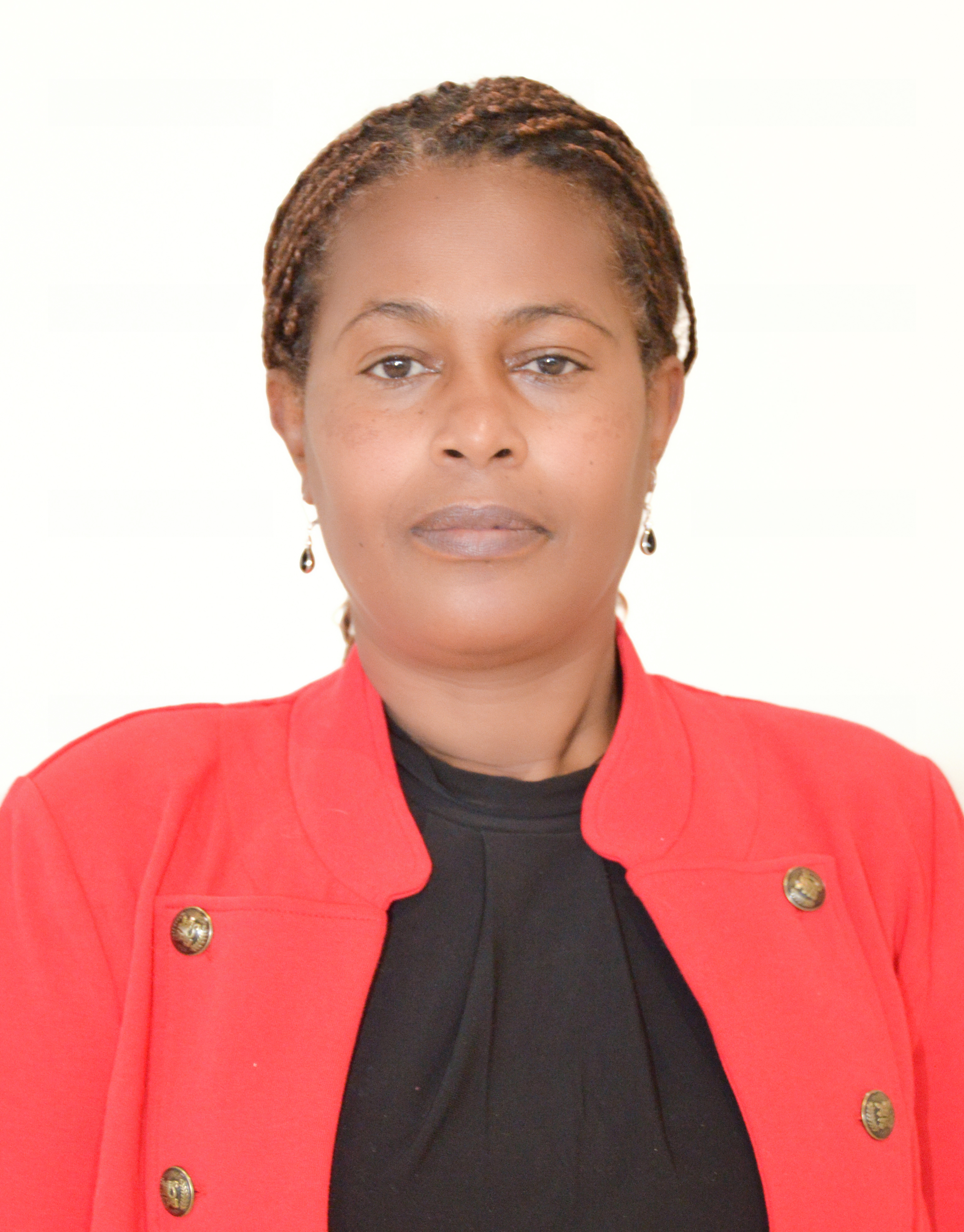 Hon. Dr. Mastewal Mekonen Siyeneh